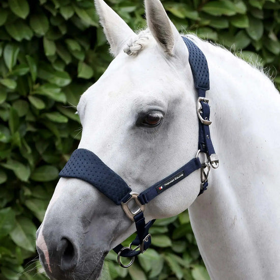 Necto 3D Mesh Head Collar with Lead Rope Grey by Premier Equine Int. at  Try A Bit