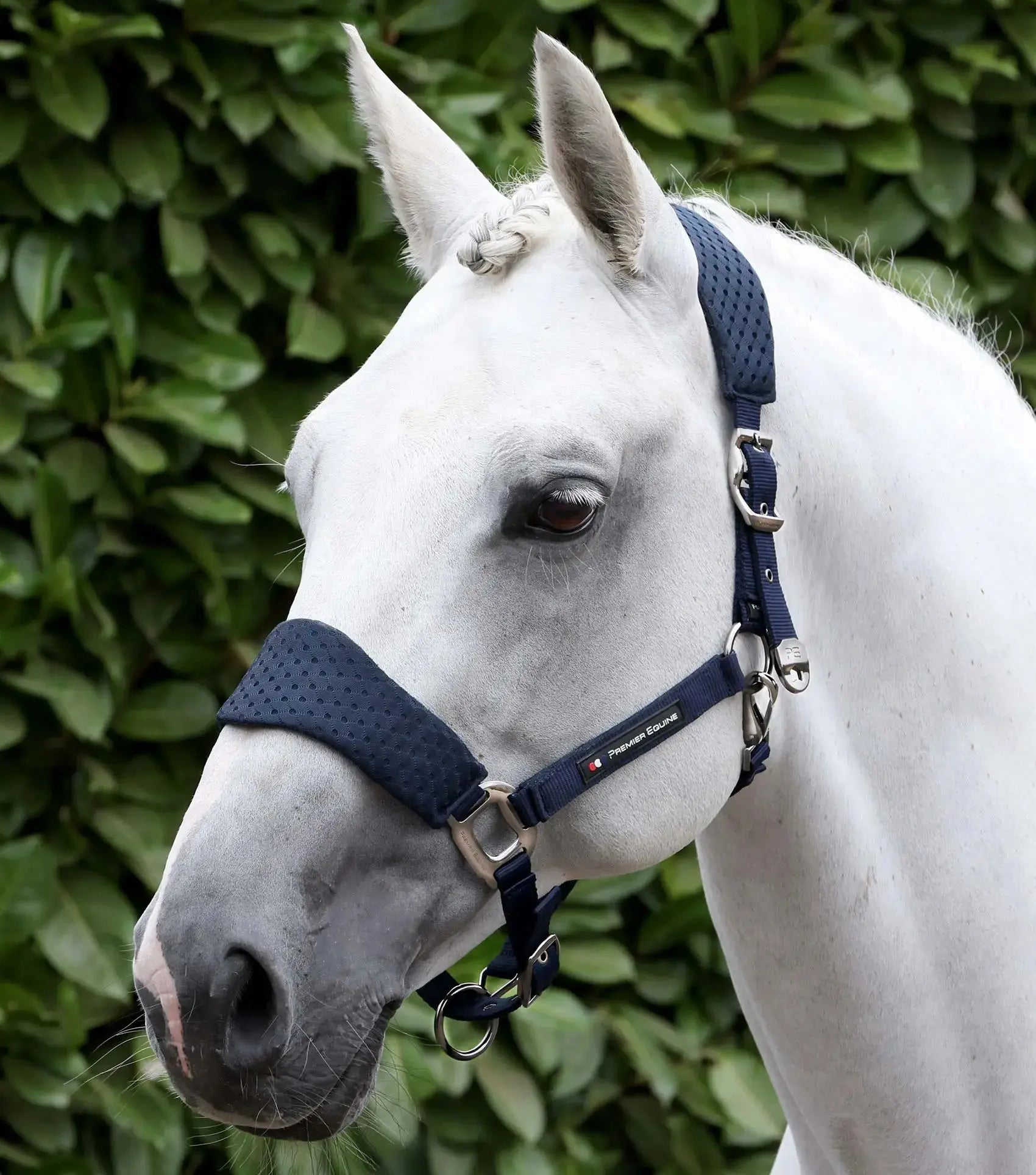 Necto 3D Mesh Head Collar with Lead Rope Grey by Premier Equine Int. at  Try A Bit