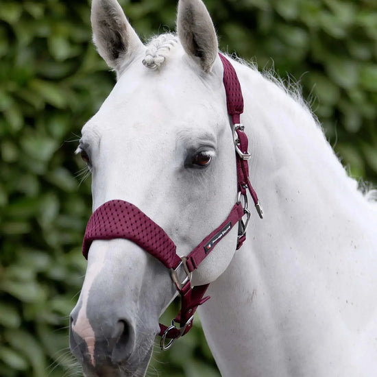 Necto 3D Mesh Head Collar with Lead Rope Grey by Premier Equine Int. at  Try A Bit
