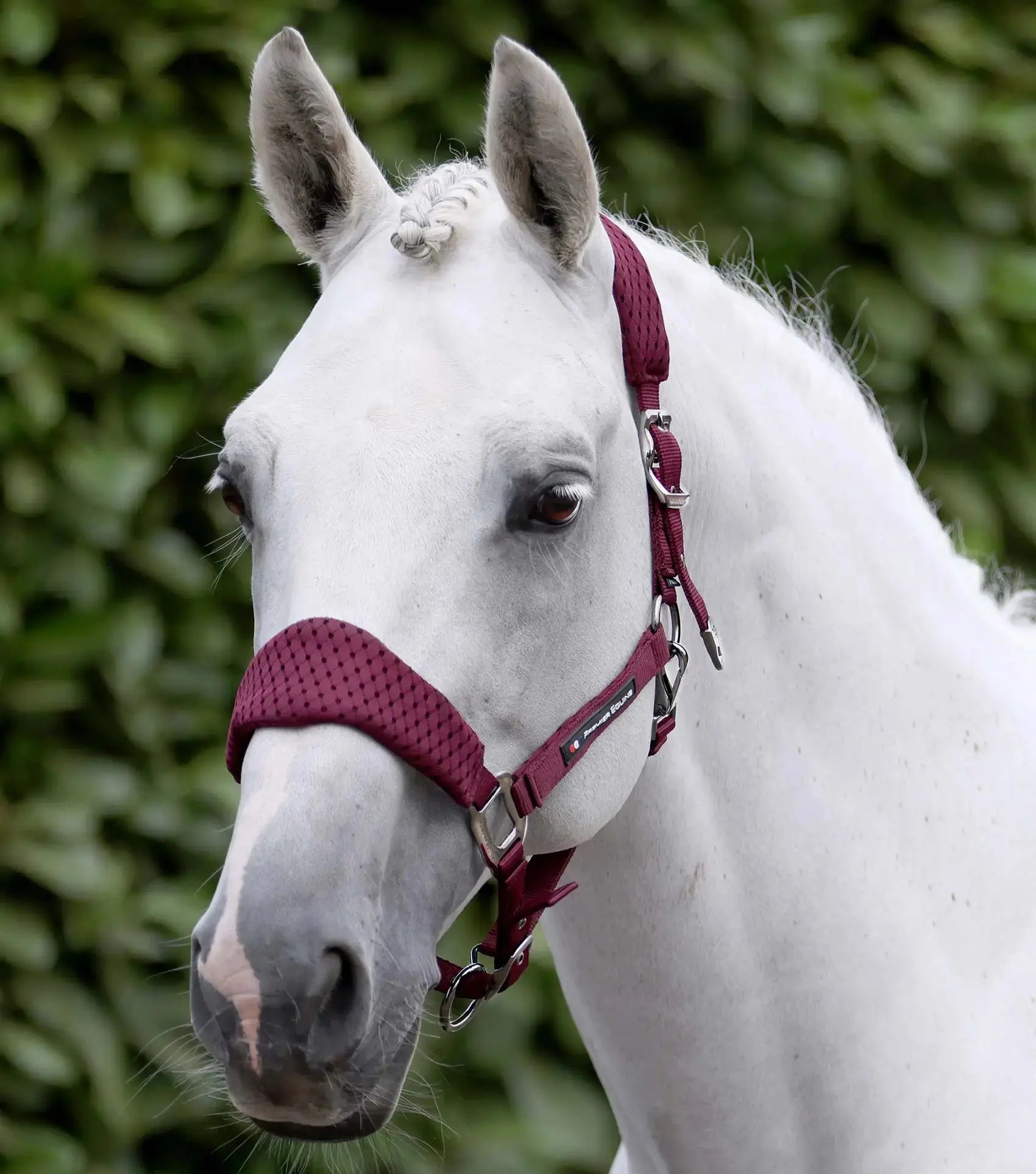 Necto 3D Mesh Head Collar with Lead Rope Grey by Premier Equine Int. at  Try A Bit