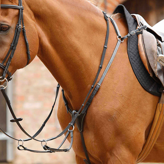 Premier Equine Norbello Hunter Breastplate by Premier Equine at  Try a Bit