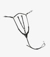 Premier Equine Norbello Hunter Breastplate by Premier Equine at  Try a Bit