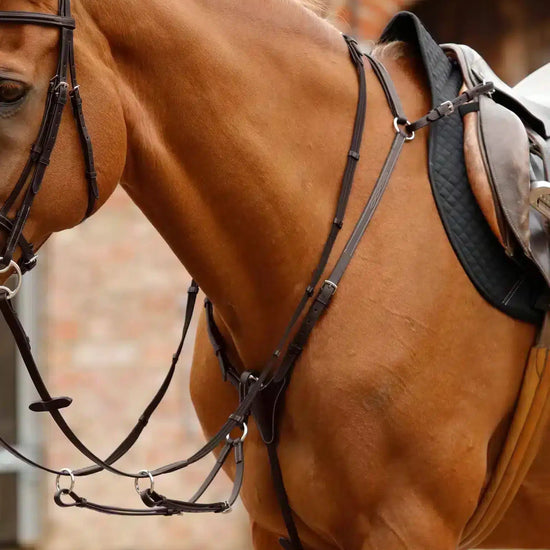 Premier Equine Norbello Hunter Breastplate by Premier Equine at  Try a Bit