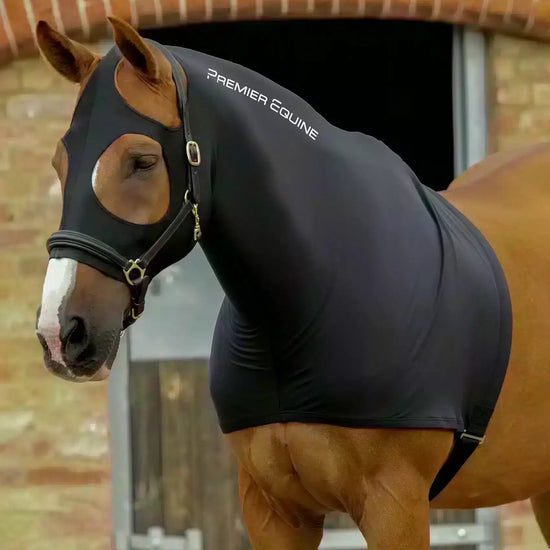 Premier Equine Stretch Lycra Hood by Premier Equine at  Try a Bit