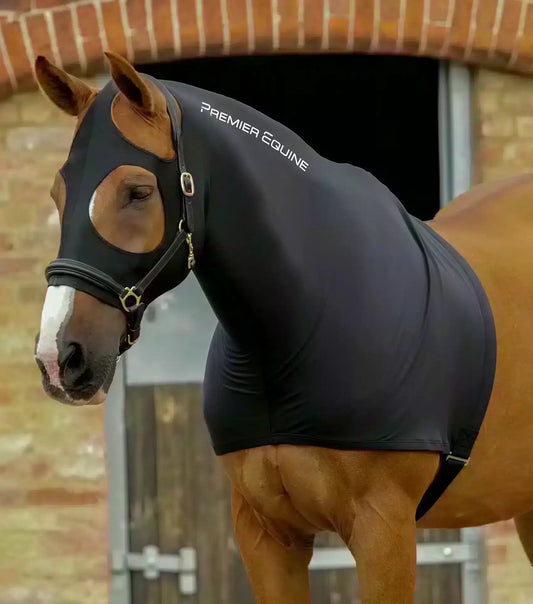 Premier Equine Stretch Lycra Hood by Premier Equine at  Try a Bit
