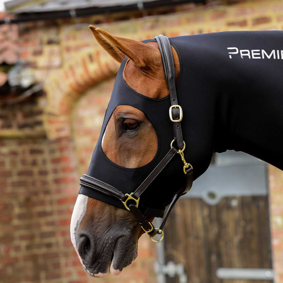 Premier Equine Stretch Lycra Hood by Premier Equine at  Try a Bit