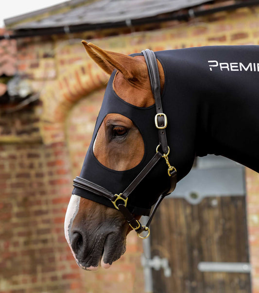 Premier Equine Stretch Lycra Hood by Premier Equine at  Try a Bit