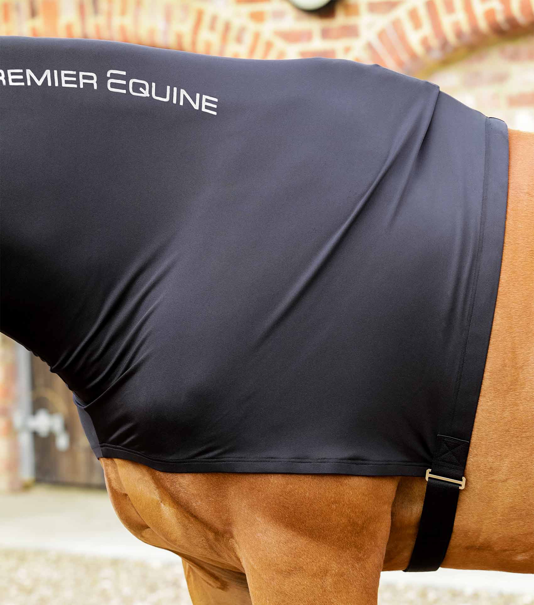 Premier Equine Stretch Lycra Hood by Premier Equine at  Try a Bit