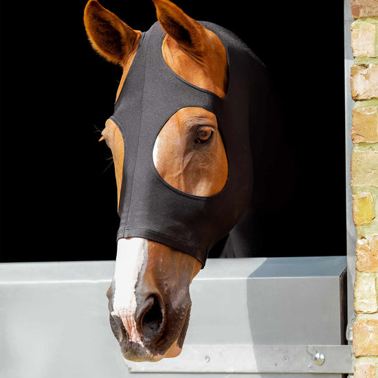 Premier Equine Stretch Lycra Hood by Premier Equine at  Try a Bit