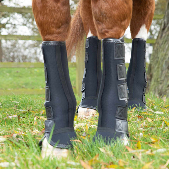 Premier Equine Turnout/ Mud Fever Boots by Premier Equine at  Try a Bit