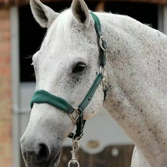 Premier Equine Fleece Padded Horse Head Collar by Premier Equine at  Try a Bit