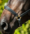 Premier Equine Rego Padded Leather Head Collar by Premier Equine at  Try a Bit