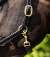 Premier Equine Rego Padded Leather Head Collar by Premier Equine at  Try a Bit