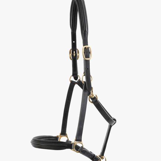 Premier Equine Rego Padded Leather Head Collar by Premier Equine at  Try a Bit