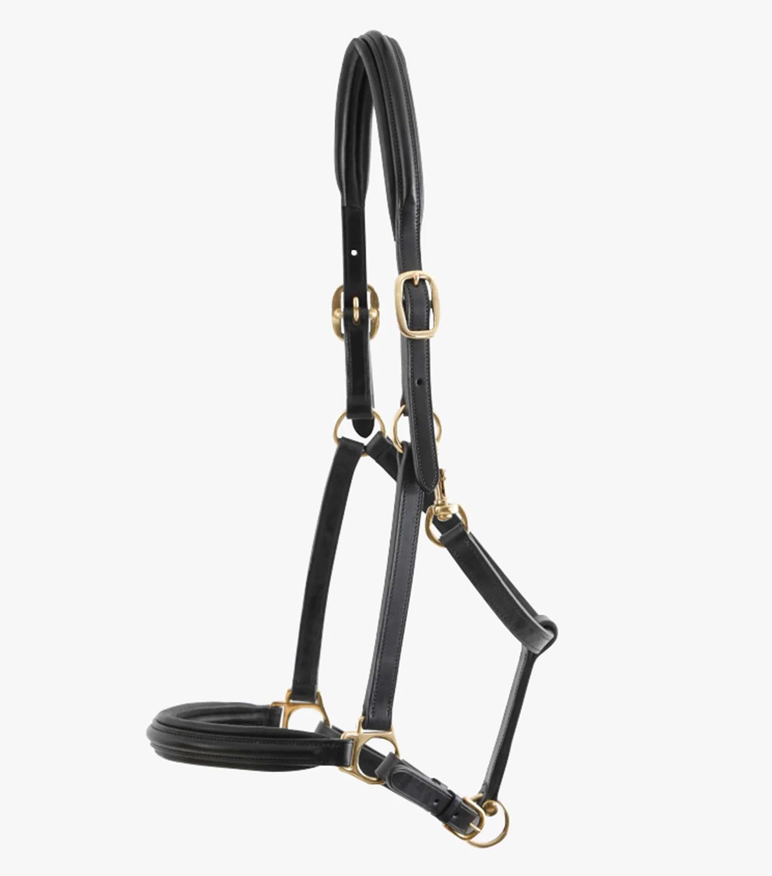 Premier Equine Rego Padded Leather Head Collar by Premier Equine at  Try a Bit