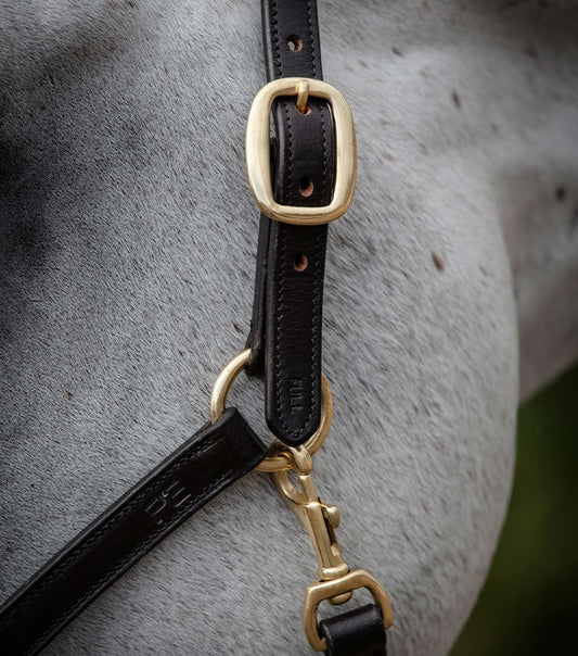 Premier Equine Rego Padded Leather Head Collar by Premier Equine at  Try a Bit