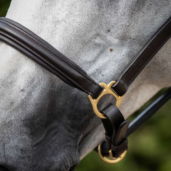 Premier Equine Rego Padded Leather Head Collar by Premier Equine at  Try a Bit