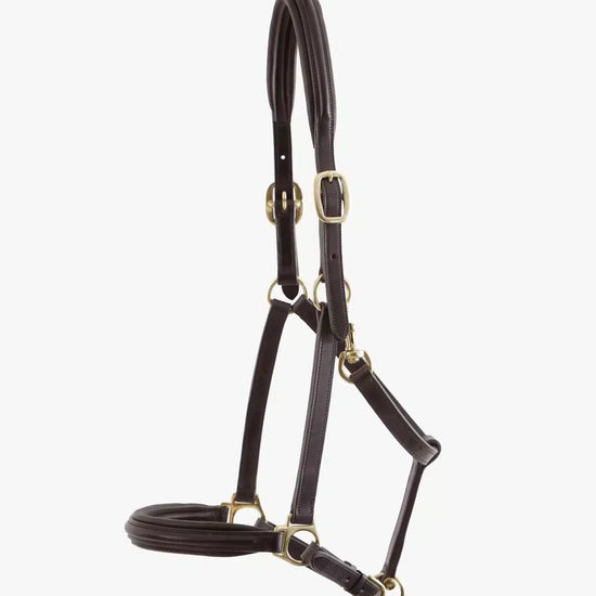 Premier Equine Rego Padded Leather Head Collar by Premier Equine at  Try a Bit