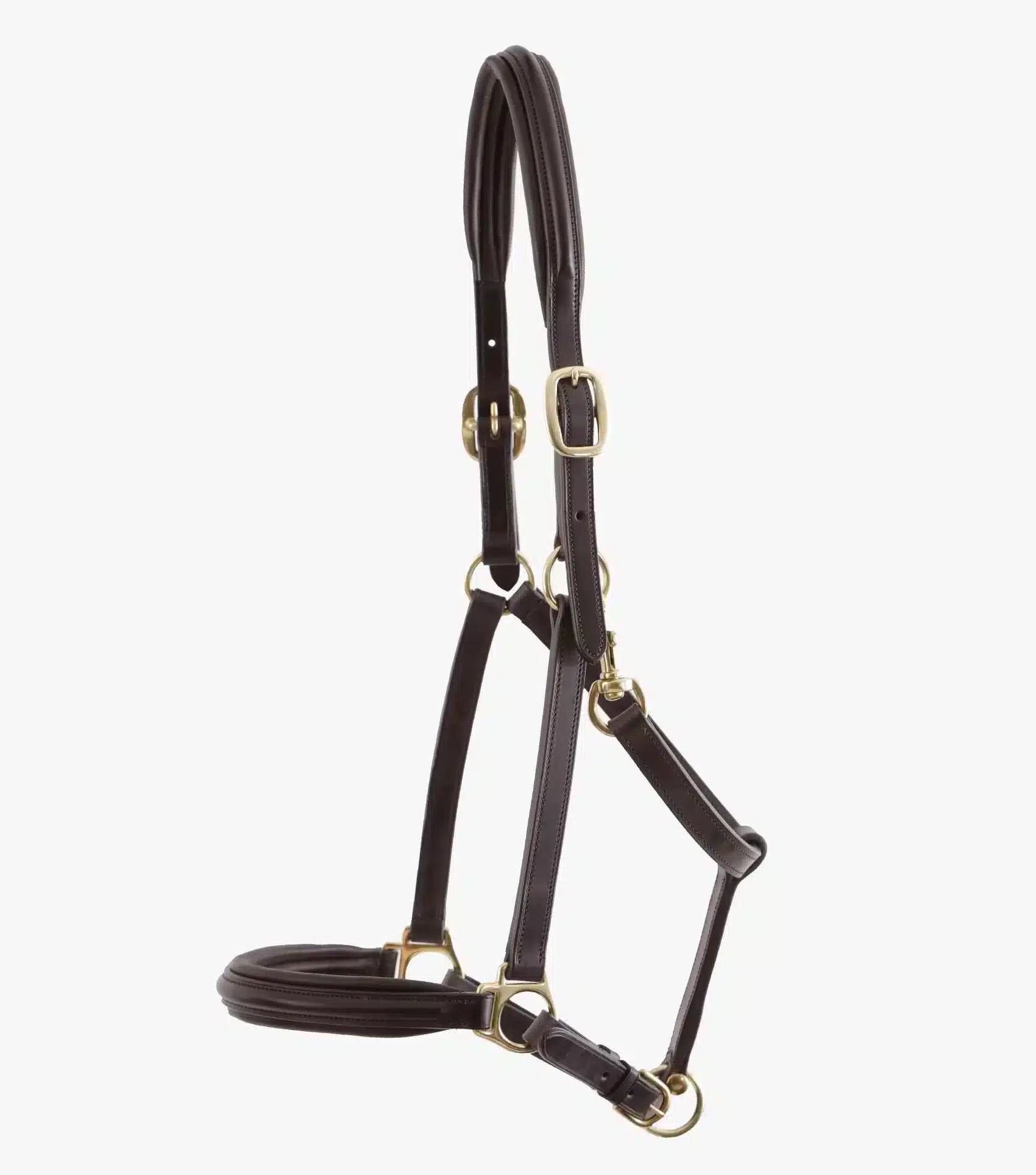 Premier Equine Rego Padded Leather Head Collar by Premier Equine at  Try a Bit