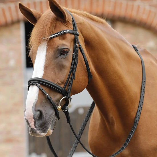 Premier Equine Pietro Laced Reins by Premier Equine at  Try a Bit