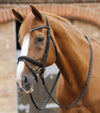 Premier Equine Pietro Laced Reins by Premier Equine at  Try a Bit