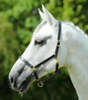 Premier Equine Pasco Plain Leather Head Collar by Premier Equine at  Try a Bit