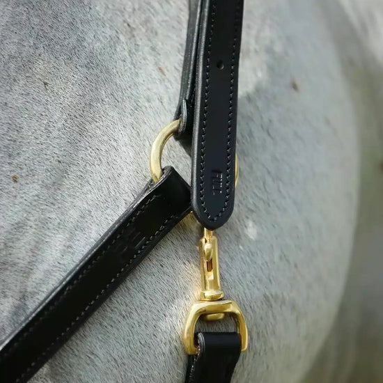 Premier Equine Pasco Plain Leather Head Collar by Premier Equine at  Try a Bit