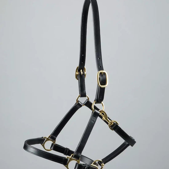 Premier Equine Pasco Plain Leather Head Collar by Premier Equine at  Try a Bit