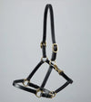 Premier Equine Pasco Plain Leather Head Collar by Premier Equine at  Try a Bit