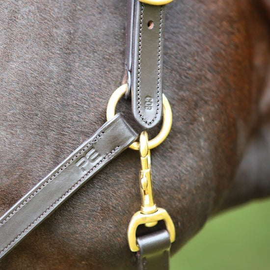 Premier Equine Pasco Plain Leather Head Collar by Premier Equine at  Try a Bit
