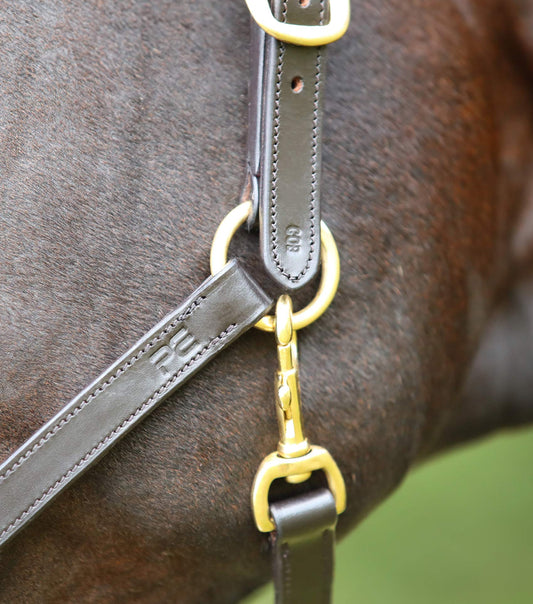 Premier Equine Pasco Plain Leather Head Collar by Premier Equine at  Try a Bit