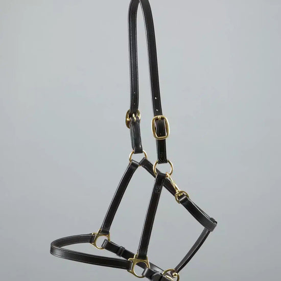 Premier Equine Pasco Plain Leather Head Collar by Premier Equine at  Try a Bit
