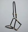Premier Equine Pasco Plain Leather Head Collar by Premier Equine at  Try a Bit