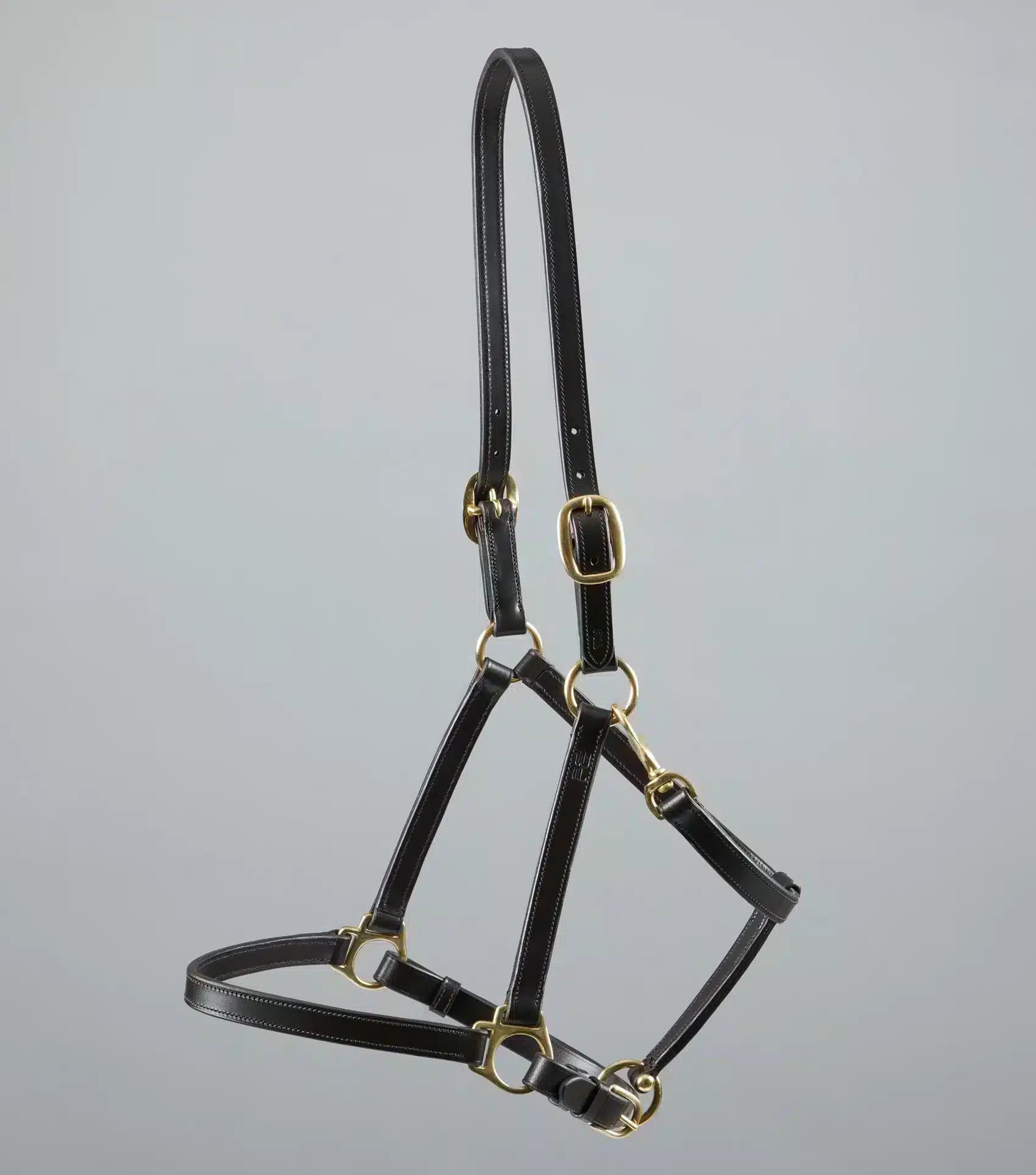 Premier Equine Pasco Plain Leather Head Collar by Premier Equine at  Try a Bit