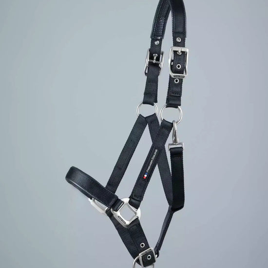Premier Equine Plain Padded Horse Head Collar by Premier Equine at  Try a Bit