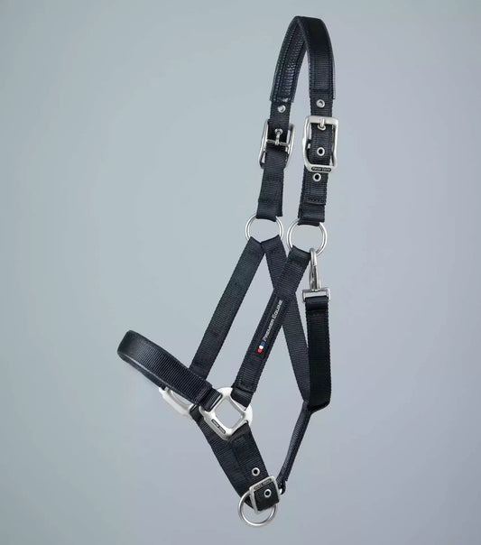 Premier Equine Plain Padded Horse Head Collar by Premier Equine at  Try a Bit