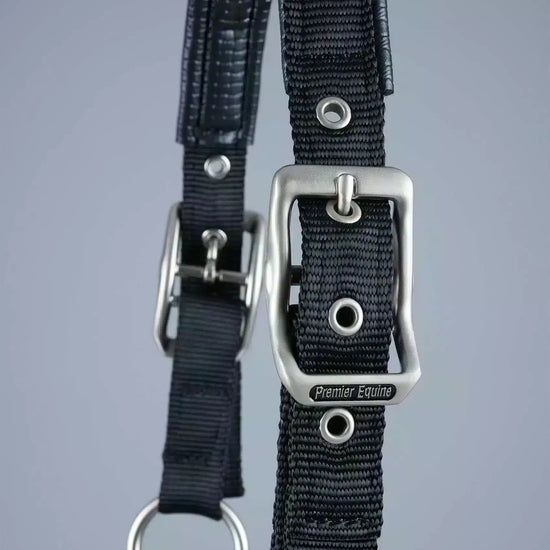 Premier Equine Plain Padded Horse Head Collar by Premier Equine at  Try a Bit