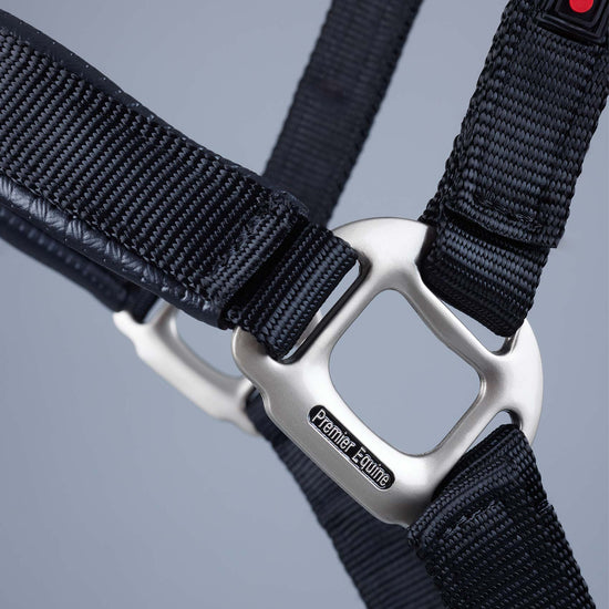 Premier Equine Plain Padded Horse Head Collar by Premier Equine at  Try a Bit