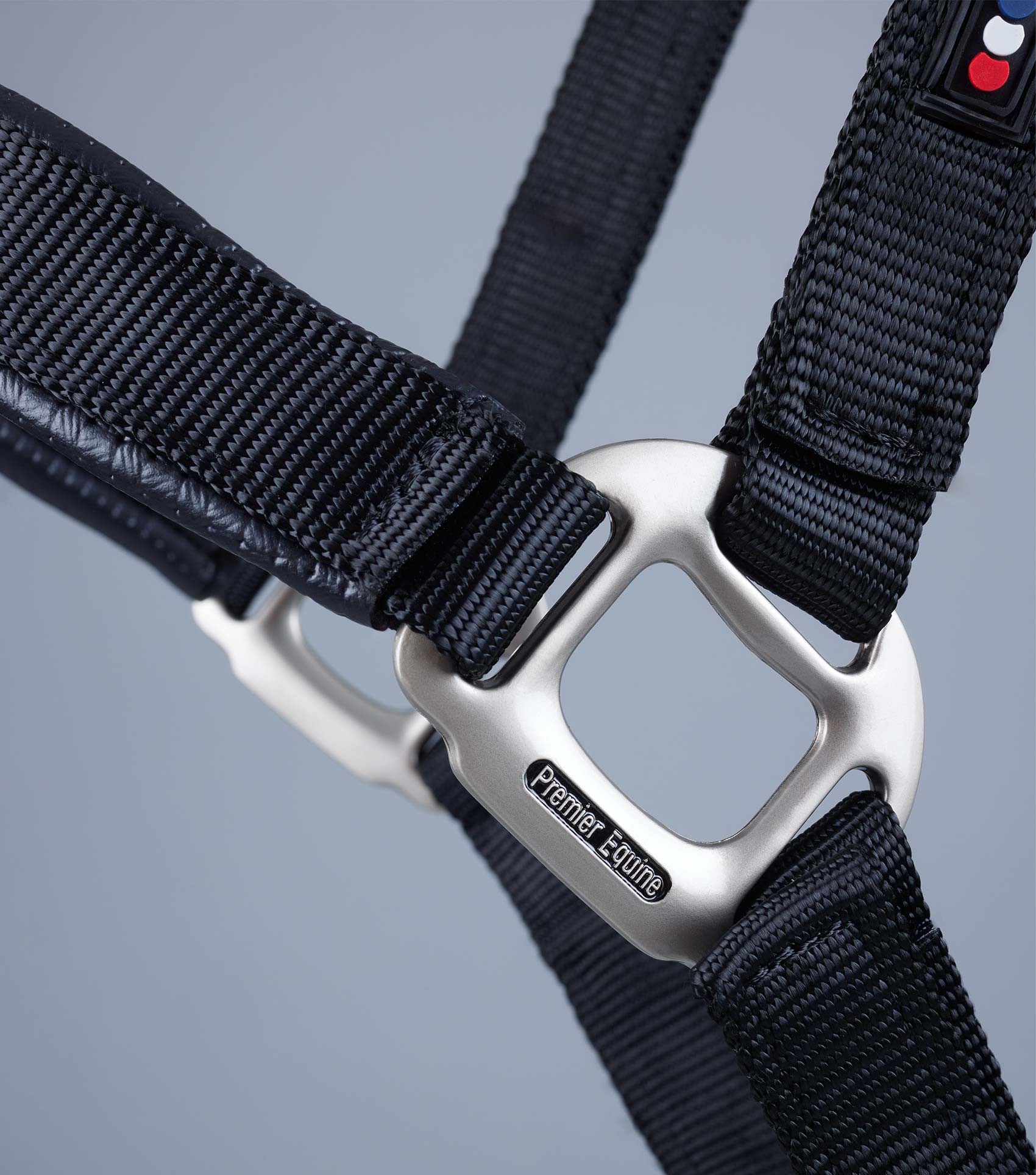 Premier Equine Plain Padded Horse Head Collar by Premier Equine at  Try a Bit
