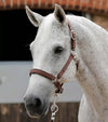Premier Equine Plain Padded Horse Head Collar by Premier Equine at  Try a Bit