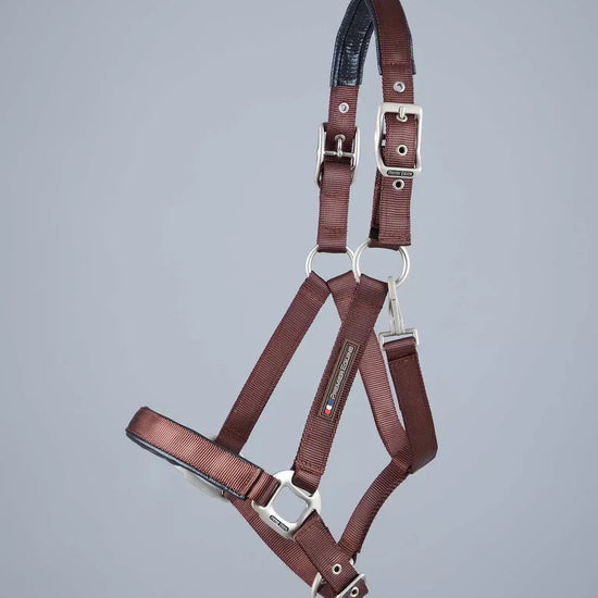 Premier Equine Plain Padded Horse Head Collar by Premier Equine at  Try a Bit