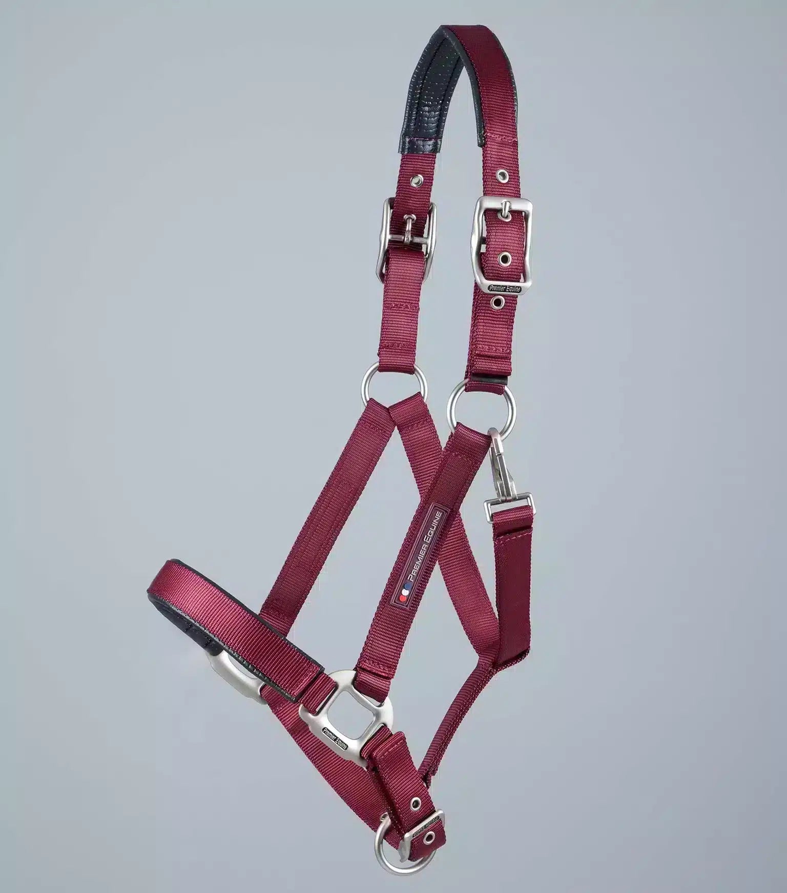 Premier Equine Plain Padded Horse Head Collar by Premier Equine at  Try a Bit