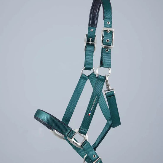 Premier Equine Plain Padded Horse Head Collar by Premier Equine at  Try a Bit