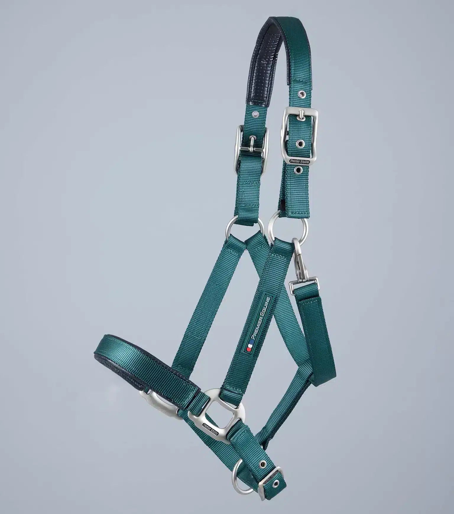 Premier Equine Plain Padded Horse Head Collar by Premier Equine at  Try a Bit