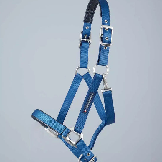 Premier Equine Plain Padded Horse Head Collar by Premier Equine at  Try a Bit