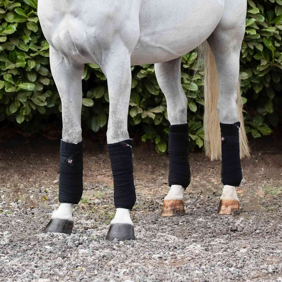 Premier Equine Horse Polo Fleece Bandages by Premier Equine at  Try a Bit
