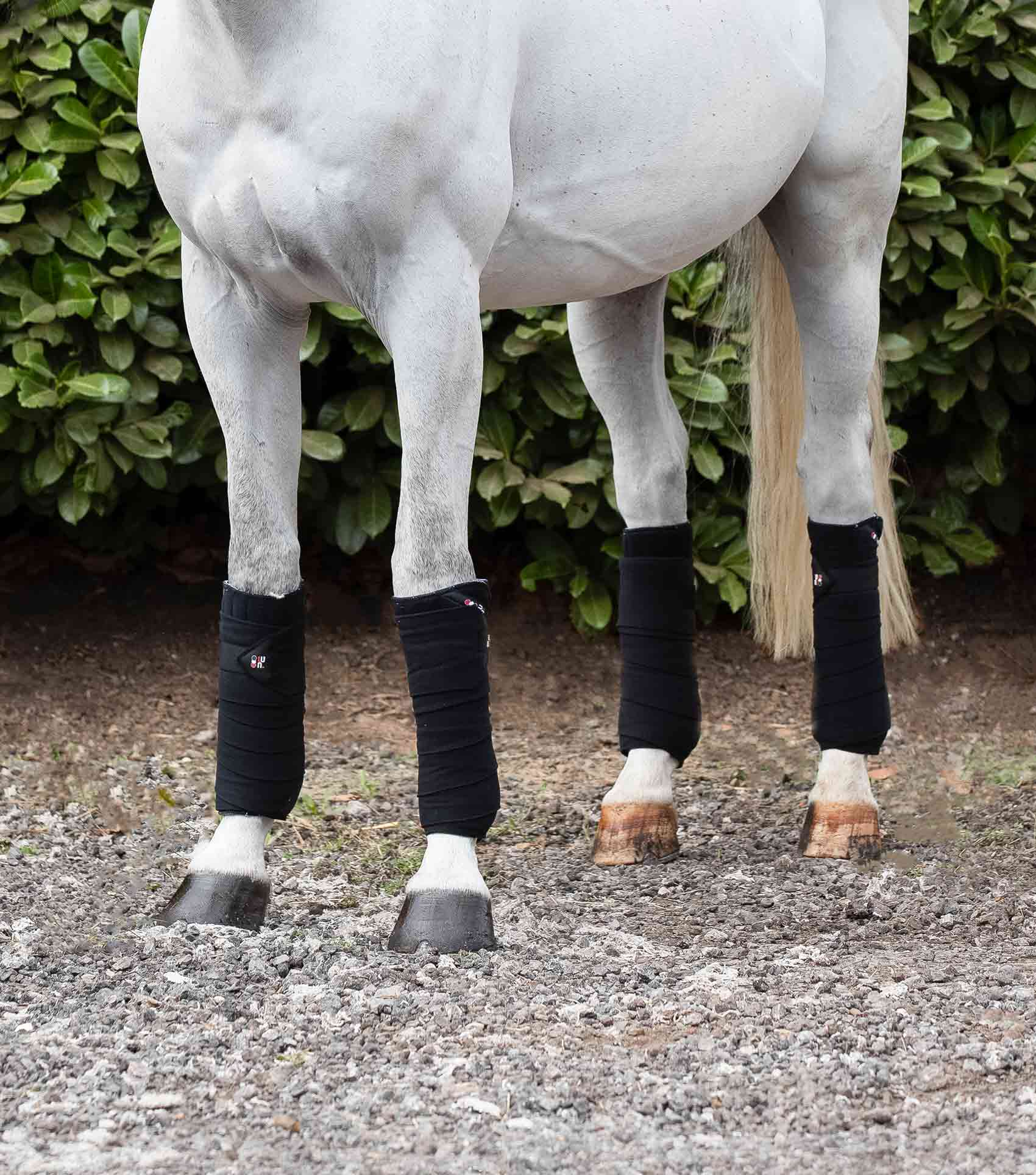 Premier Equine Horse Polo Fleece Bandages by Premier Equine at  Try a Bit
