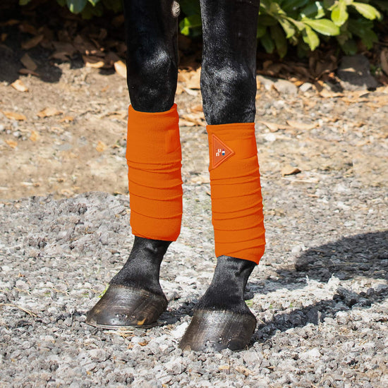Premier Equine Horse Polo Fleece Bandages by Premier Equine at  Try a Bit