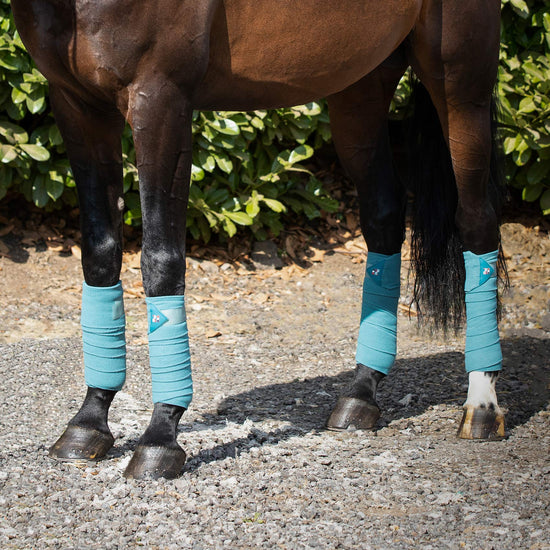 Premier Equine Horse Polo Fleece Bandages by Premier Equine at  Try a Bit