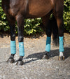 Premier Equine Horse Polo Fleece Bandages by Premier Equine at  Try a Bit